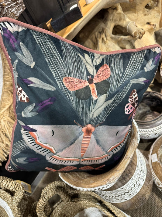 B6 - Scat Piped, Butterfly